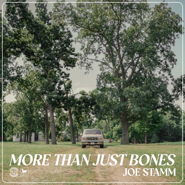 Joe Stamm & Joe Stamm Band — More Than Just Bones cover